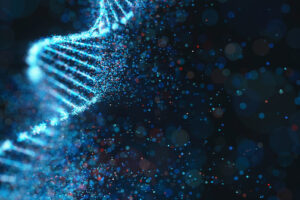 学術誌「Nature Biotechnology」において、「赤色光スイッチタンパク質 “MagRed”（マグレッド）」に関する論文が公開されました